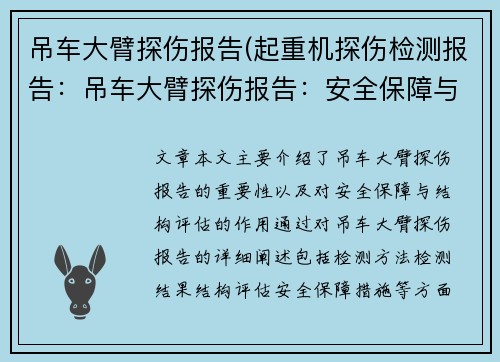 吊车大臂探伤报告(起重机探伤检测报告：吊车大臂探伤报告：安全保障与结构评估)