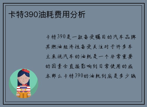 卡特390油耗费用分析